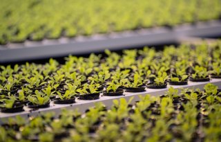 Inboedel Jongerius vandaag onder de hamer