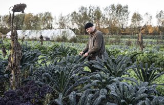 Mark Venner plant bomen en struiken op grasland
