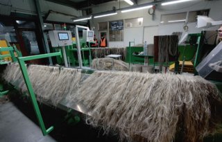 Project test toepassing vezelhennep voor textielindustrie