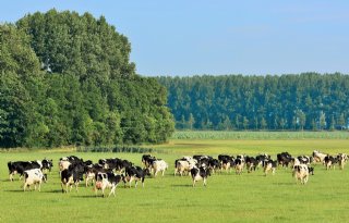 'Er is weinig vrijwilligs aan de plannen van provincie Zeeland'