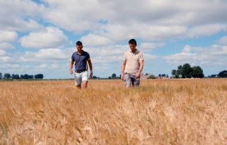 Duurzamer bier begint op de akker