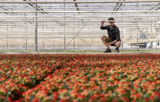 'Wij hebben een wijze les geleerd van de vorige generaties'