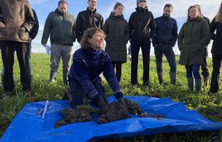 Klaveronderzaai versterkt akker en natuur