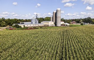 Amerikaanse boeren roepen Trump op tot noodsteun en eerlijke handelsregels