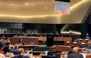 Banken niet over de brug voor Brabantse veehouders door onzekerheid stikstofbeleid