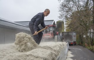 Geitenhouder kuilt bietenpulp in voor rantsoen