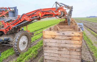 Bewaarkwaliteit nog te vaak een verrassing