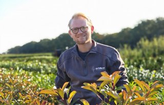 ‘Ik streef ernaar om de allermooiste planten te kweken’