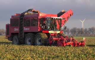 Suikerbieten onder prachtige omstandigheden gerooid