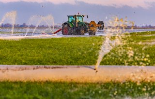 'Als je niets tegen muizen doet, wordt grasland bouwland'