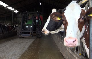 Melkveehouder Ronald Raaijmakers tevreden met mais ondanks droogte