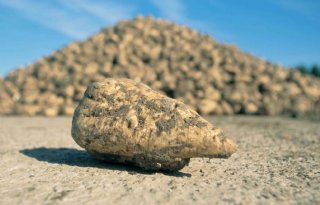 UBS transformeert suikerbietenmarkt: vier topmerken onder één dak