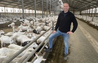 Geitenhouderij gaat aan de bak om draagvlak te vergroten