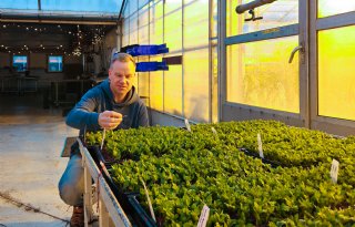 Voldoende groeipotentieel voor glastuinbouw in IJsland