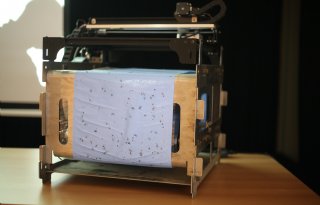 Insectenteller geeft telers inzicht in plaagdruk