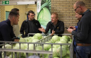 Veel kool, maar weinig lucht in de Europese markt