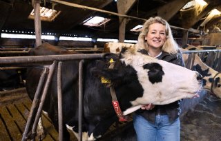 Melkveehouder Uitentuis: 'Ook veel buiten bedrijf actief, omdat het bij ons kan'