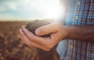 De stille revolutie in gewasbescherming