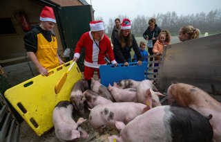 Biggen laden met de kerstman trekt veel bekijks