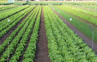 Ruim baan voor groene revolutie in de Europese Unie