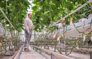 AGROS II test datagedreven methodes voor autonoom telen