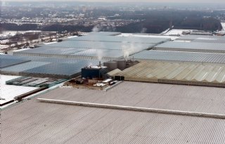 Zware sneeuwbelasting leidt tot constructieschade en duizenden kapotte ruiten