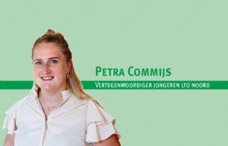 'Dit jaar ga ik het écht anders doen. Toch?'