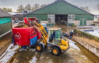 Zacht najaar zorgt voor snellere afrijping mais
