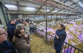 Afstandsnorm rond geitenhouderij is nieuwe horde voor sector