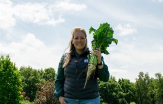 Conviso is een volwassen systeem geworden