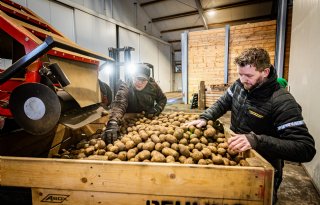 Bijna een miljoen kilo aardappelen krijgt nieuwe kans