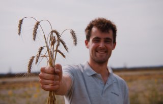 Biologisch tarwebrood uit Nederland beschikbaar in supermarkten