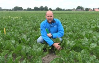 Spuitschema met hoogste rendement