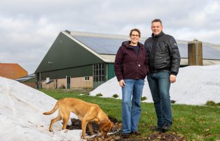 Familie Veenhuizen schakelt met Lbv van melkvee naar akkerbouw