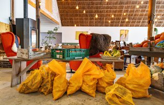 Actie werpt zijn vruchten af: 734.000 kilo groente krijgt alsnog bestemming