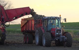 POAH! Massey Ferguson 6130