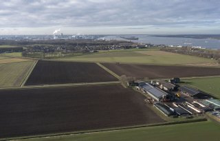 Boeren zoeken houvast en perspectief in energieknooppunt Moerdijk