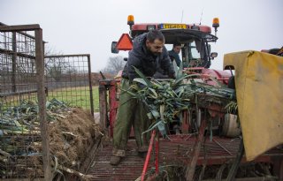 Biologische preiteler heeft niets te klagen na mooi groeiseizoen