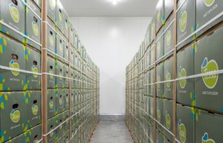 China koopt voor het eerst appels uit Nederland