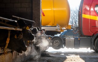 Veehouders zetten zich schrap voor rampjaar op mestmarkt