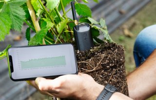 AI versterkt vakmanschap van glastuinder