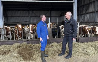 Blauwtong serotype 8 ligt op de loer