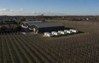 West Betuwe toont wat er mogelijk is in fruitteeltregio