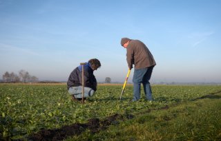 Regeneratieve suikerbieten vragen om ketenperspectief