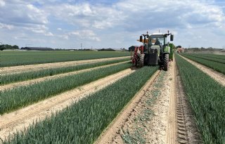 'Preiplanten op biologische wijze telen is echt topsport'