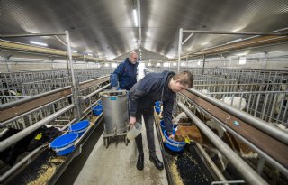 Nieuwe kalverstallen zijn fundering voor volgende generatie