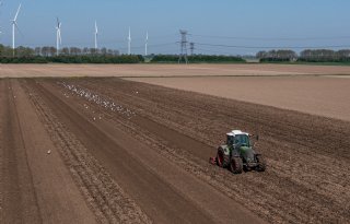 Nieuwe blik op mest in De Peel biedt verse inzichten