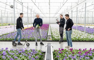 Potplantenkweker: 'Lachend ondernemen loont, dat bewijzen wij hier iedere dag'