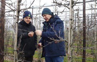 Op pad met de teeltadviseur: 'Fruittelers ondersteunen in het ambachtelijke en rationele'