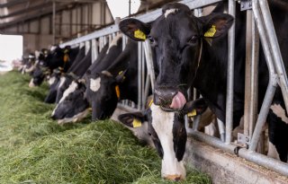 Vijf slimme keuzes die zorgen voor meer rendement